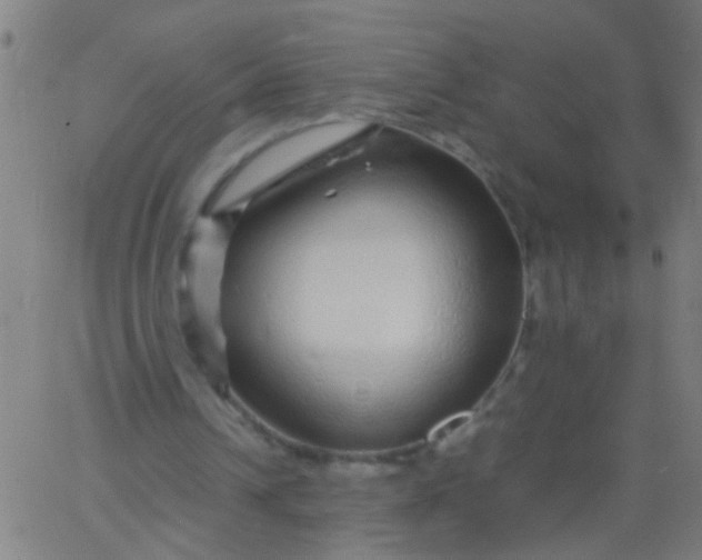 X0000067910242200604271925