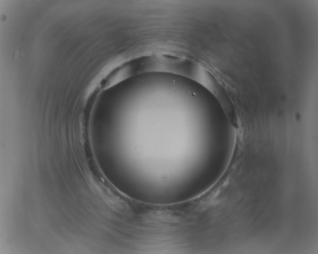 X0000067910244200604271925