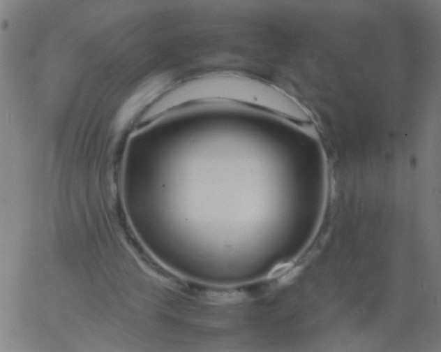 X0000067910245200604271925