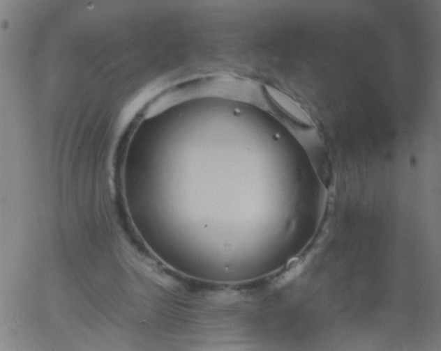 X0000067910246200604271925