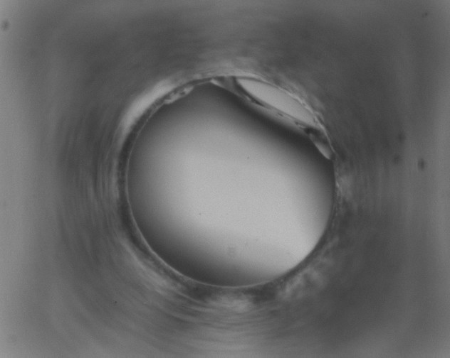 X0000067910248200604271925