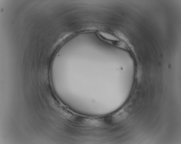 X0000067910249200604271925