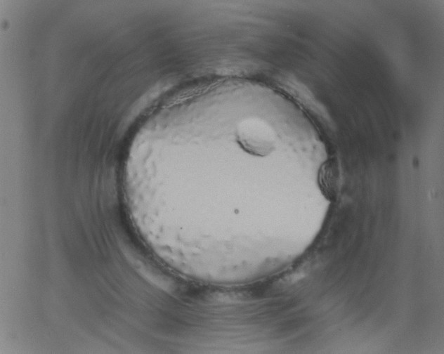 X0000067910250200604271925