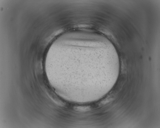 X0000067910251200604271925