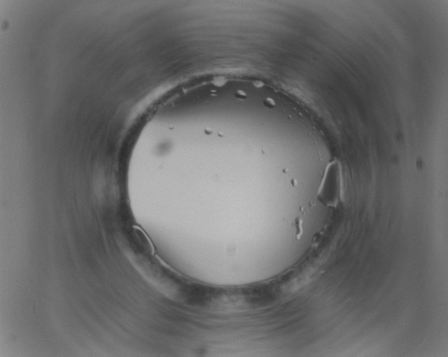 X0000067910252200604271925