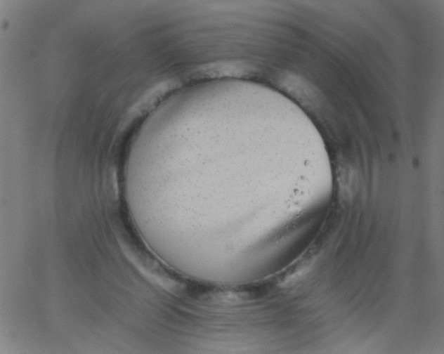 X0000067910254200604271925