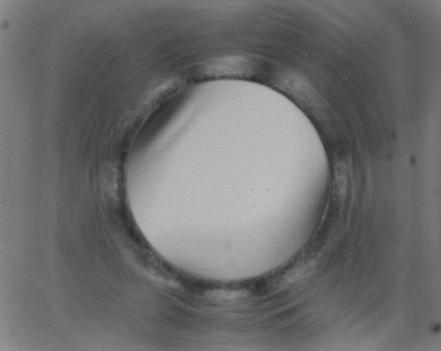 X0000067910255200604271925