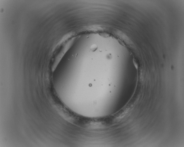 X0000067910256200604271925