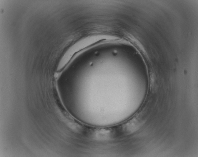 X0000067910257200604271925