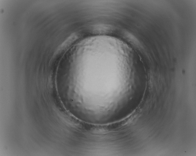 X0000067910258200604271925