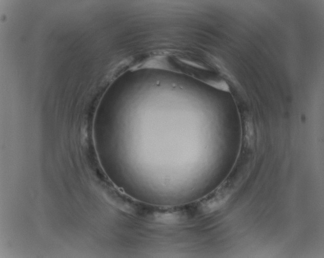 X0000067910259200604271925