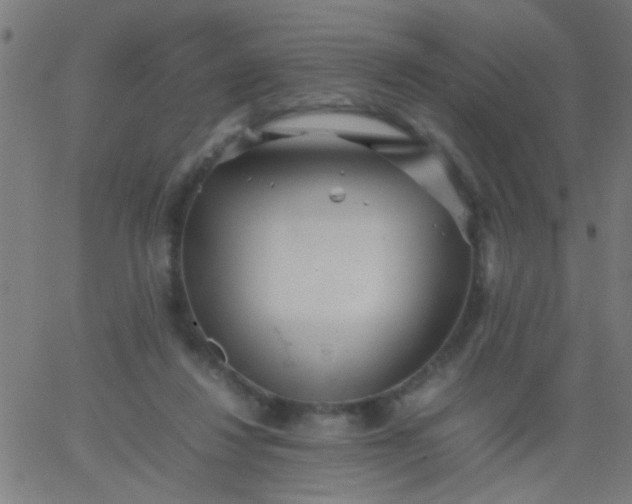 X0000067910260200604271925