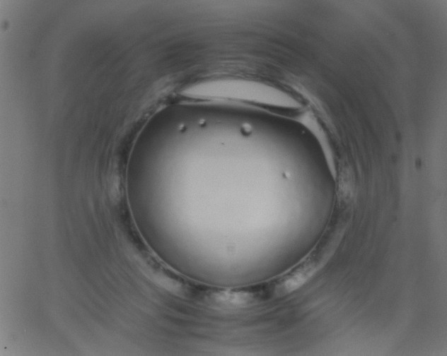 X0000067910261200604271925