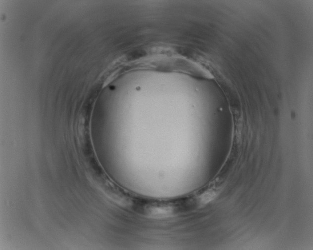 X0000067910263200604271925