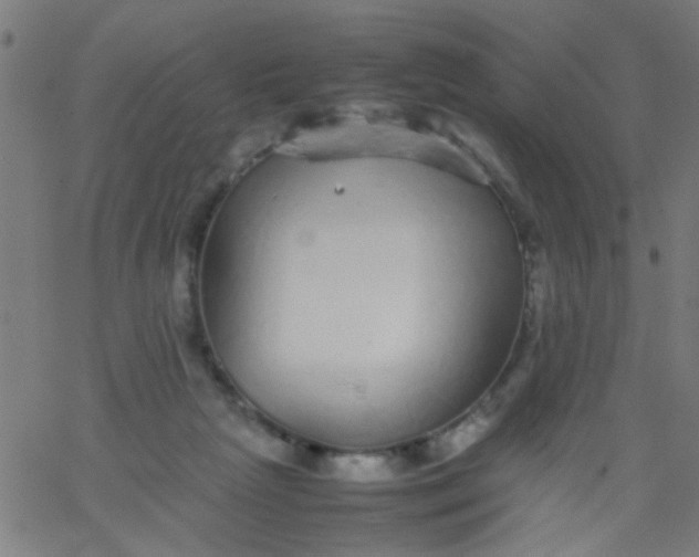 X0000067910265200604271925