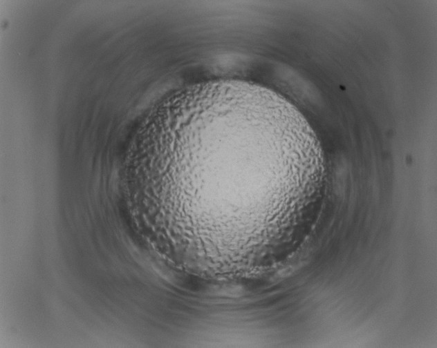 X0000067910266200604271925