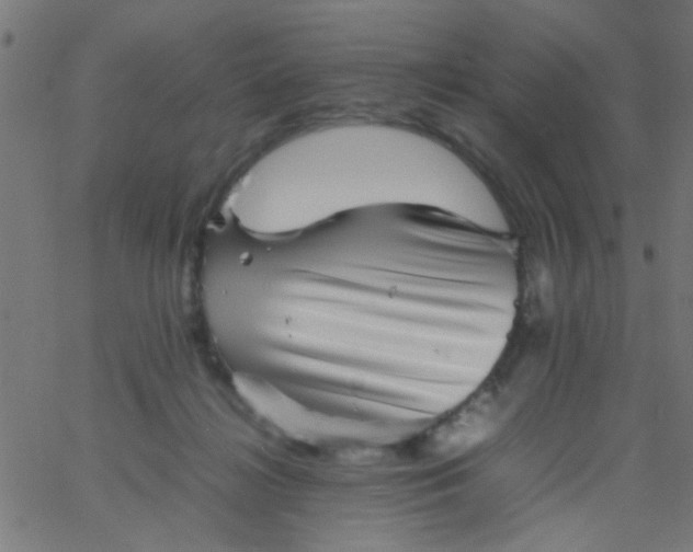 X0000067910268200604271925