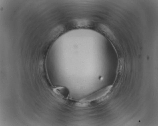 X0000067910269200604271925