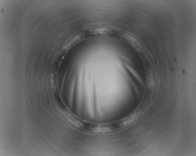 X0000067910270200604271925