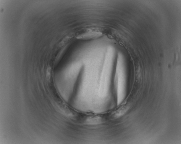 X0000067910271200604271925