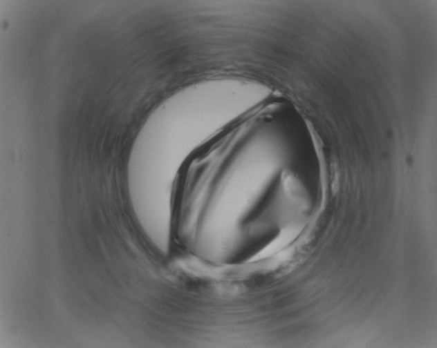 X0000067910272200604271925