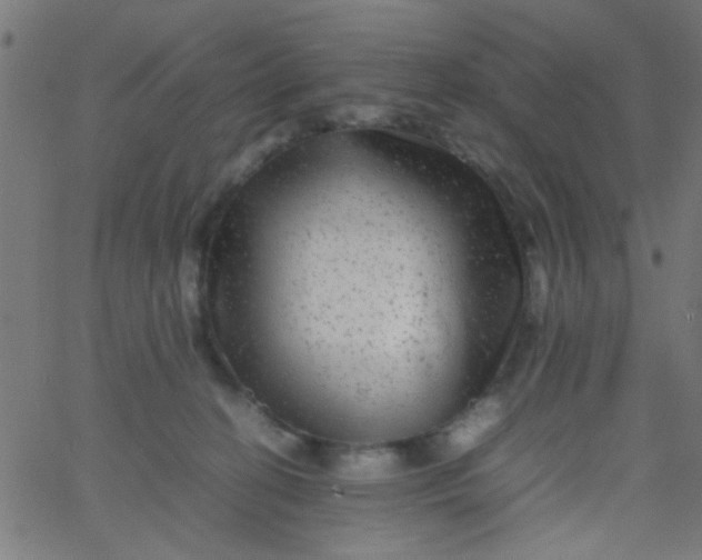 X0000067910274200604271925