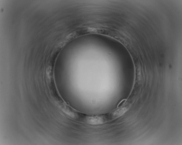 X0000067910275200604271925