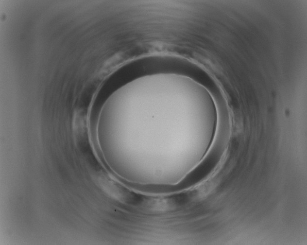 X0000067910276200604271925