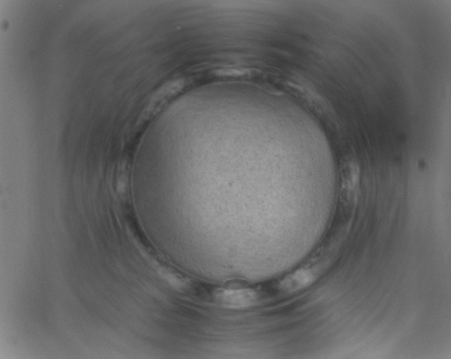 X0000067910277200604271925