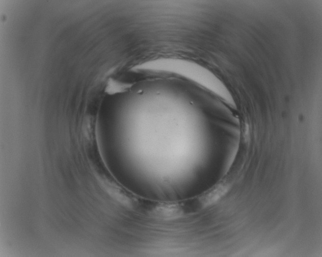 X0000067910280200604271925