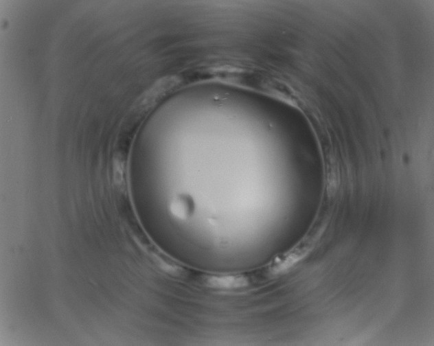 X0000067910281200604271925