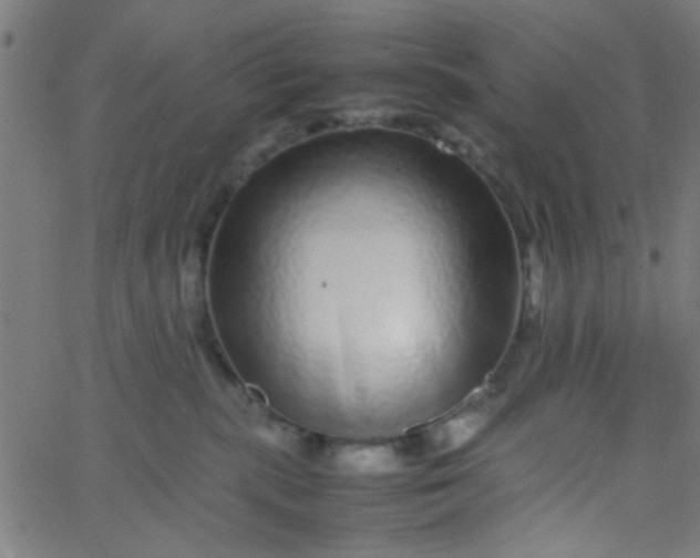 X0000067910283200604271925