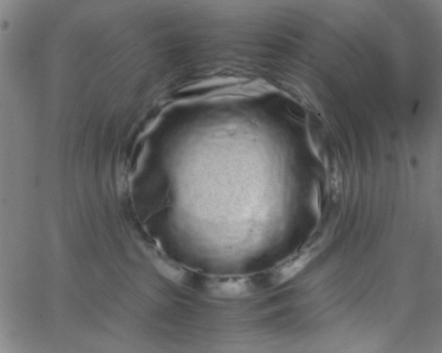 X0000067910285200604271925