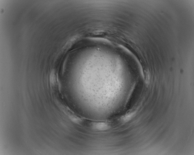 X0000067910287200604271925