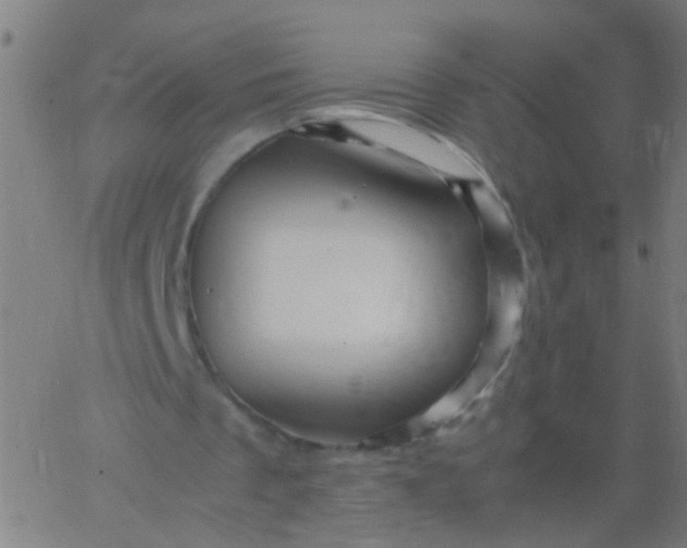 X0000067910289200604271925