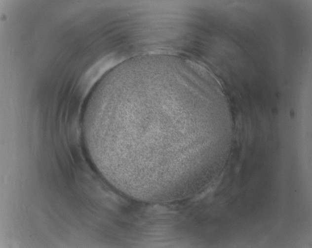 X0000067910290200604271925