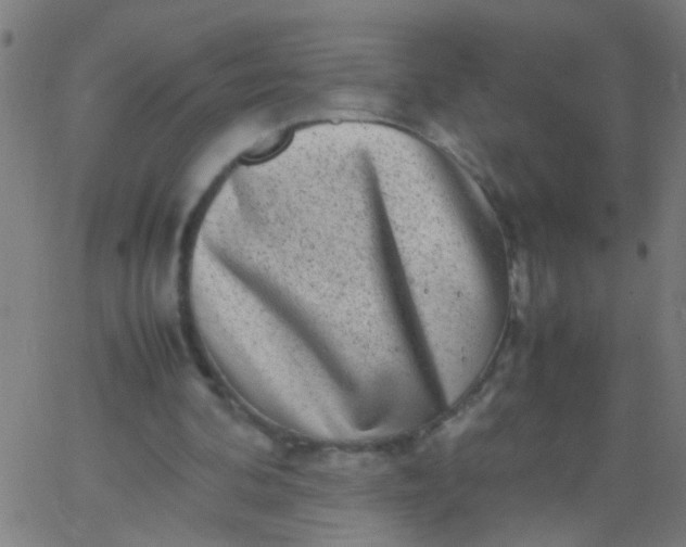 X0000067910292200604271925