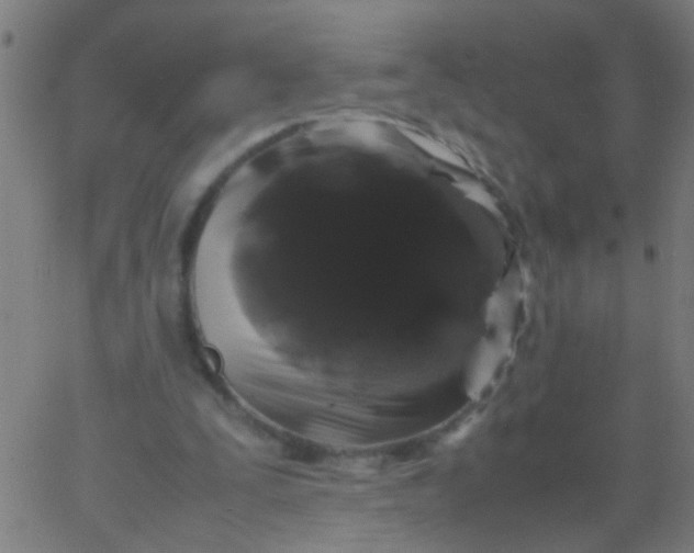 X0000067910295200604271925