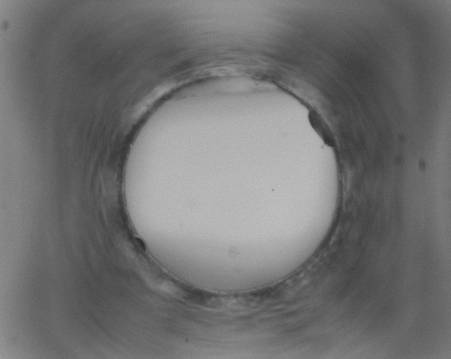 X0000067910297200604271925