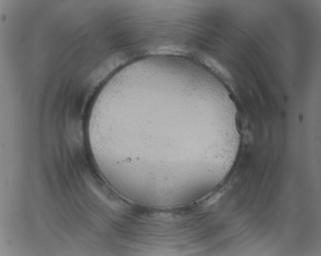 X0000067910298200604271925