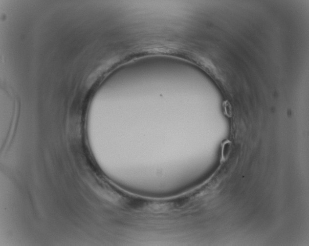 X0000067910299200604271925