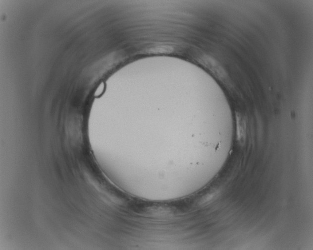 X0000067910300200604271925