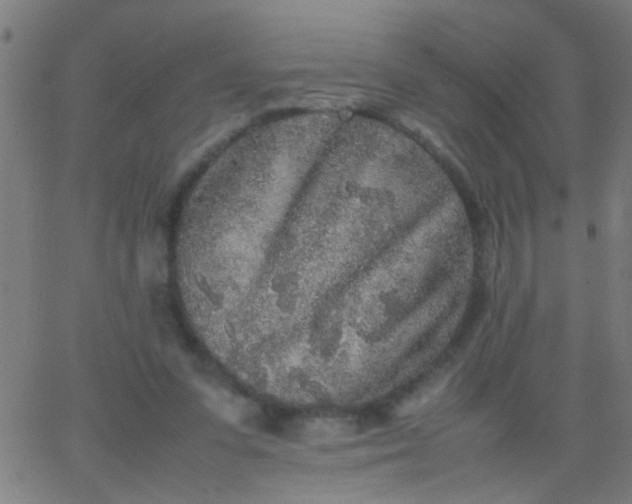 X0000067910303200604271924