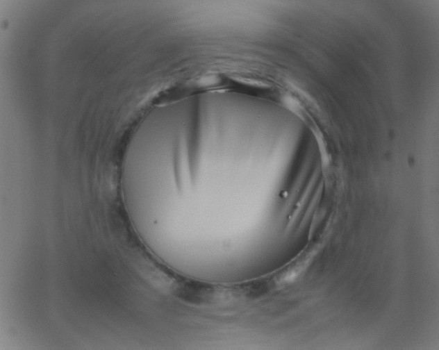 X0000067910305200604271924