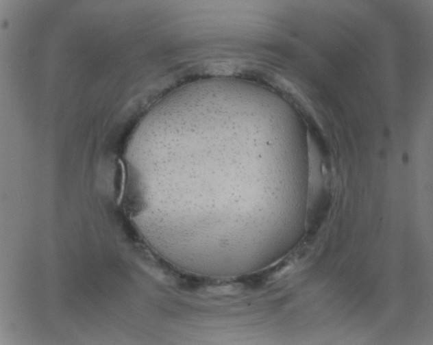 X0000067910307200604271924