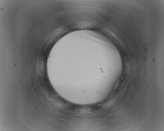 X0000067910308200604271924