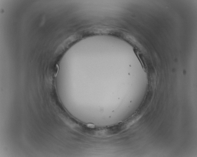 X0000067910309200604271924