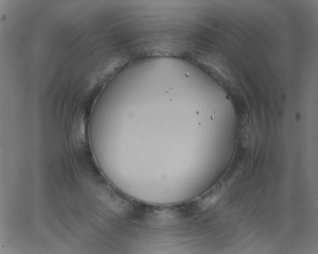 X0000067910310200604271924