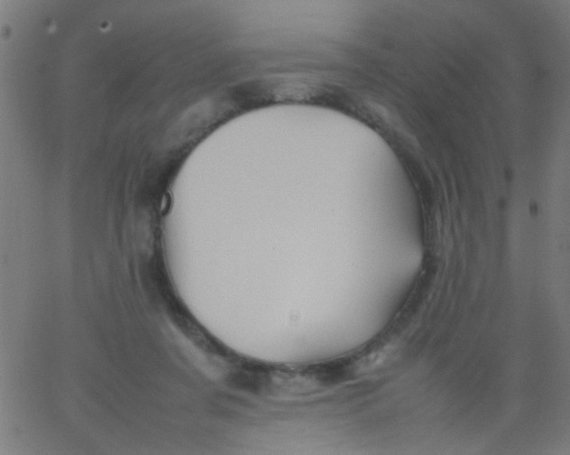 X0000067910311200604271924