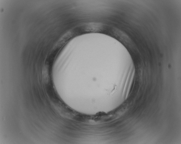 X0000067910312200604271924